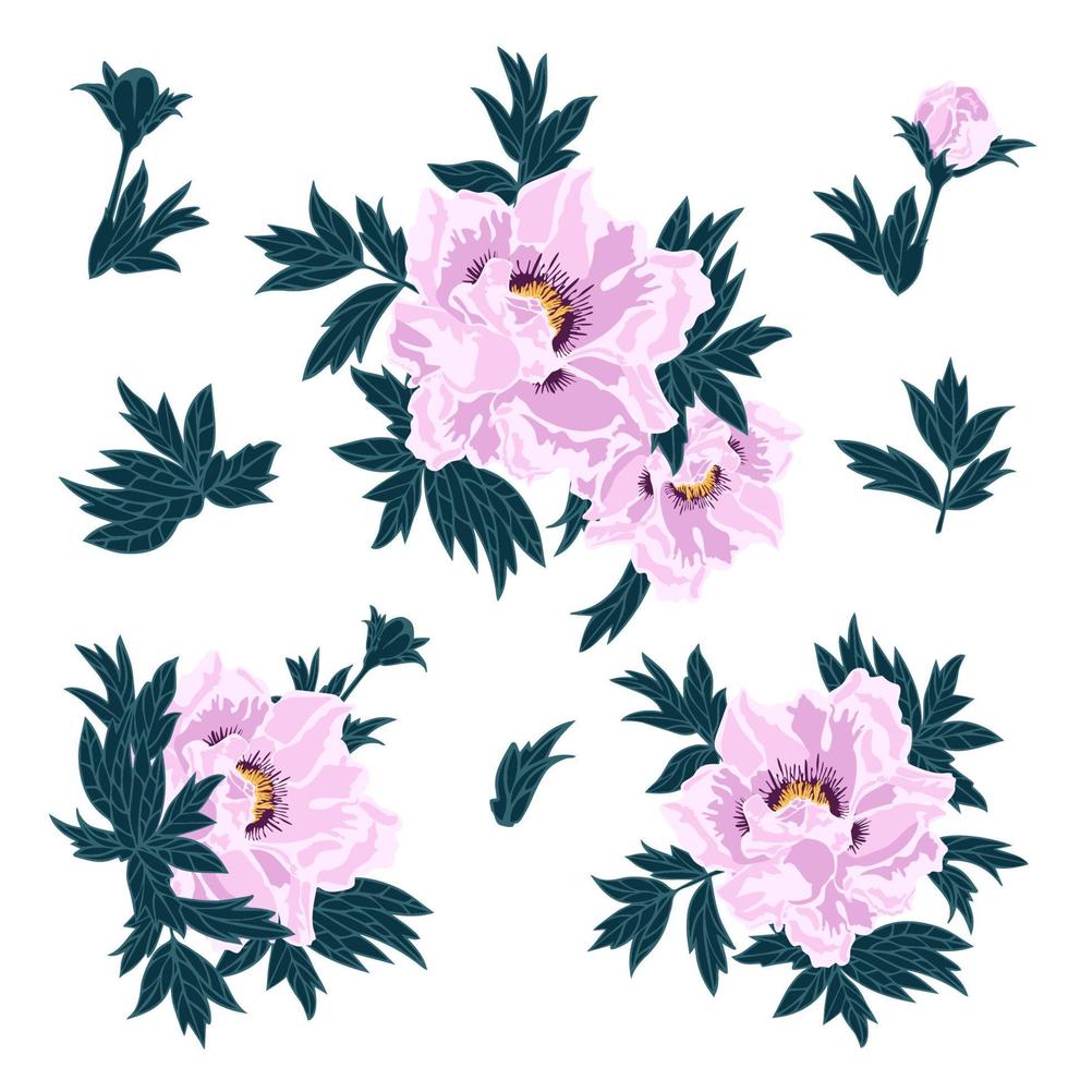 Pink peony flowers and leaves pattern. Vector image of pink flowers of a tree peony.