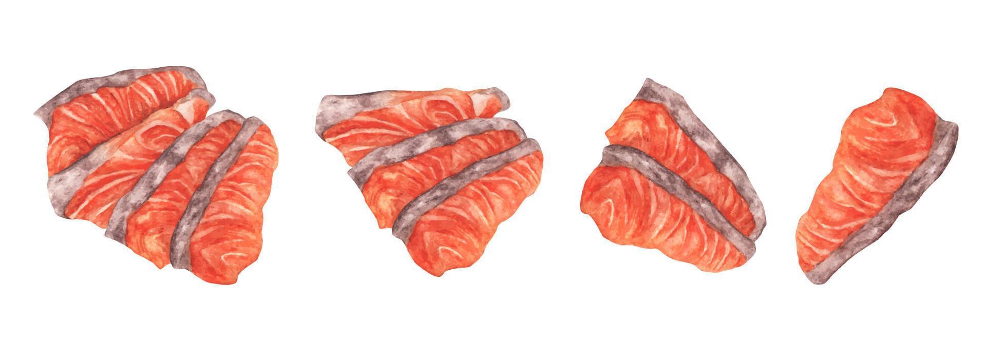 Piece of red fish fillet, Fresh Salmon sashimi. Watercolor illustration. vector