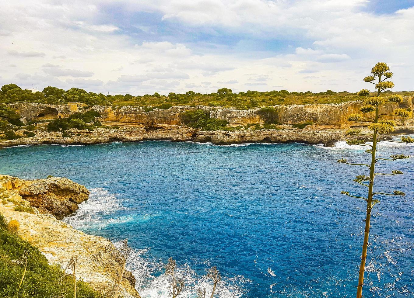 Panoramic view of the bay Cala Figuera on Mallorca Spain. photo