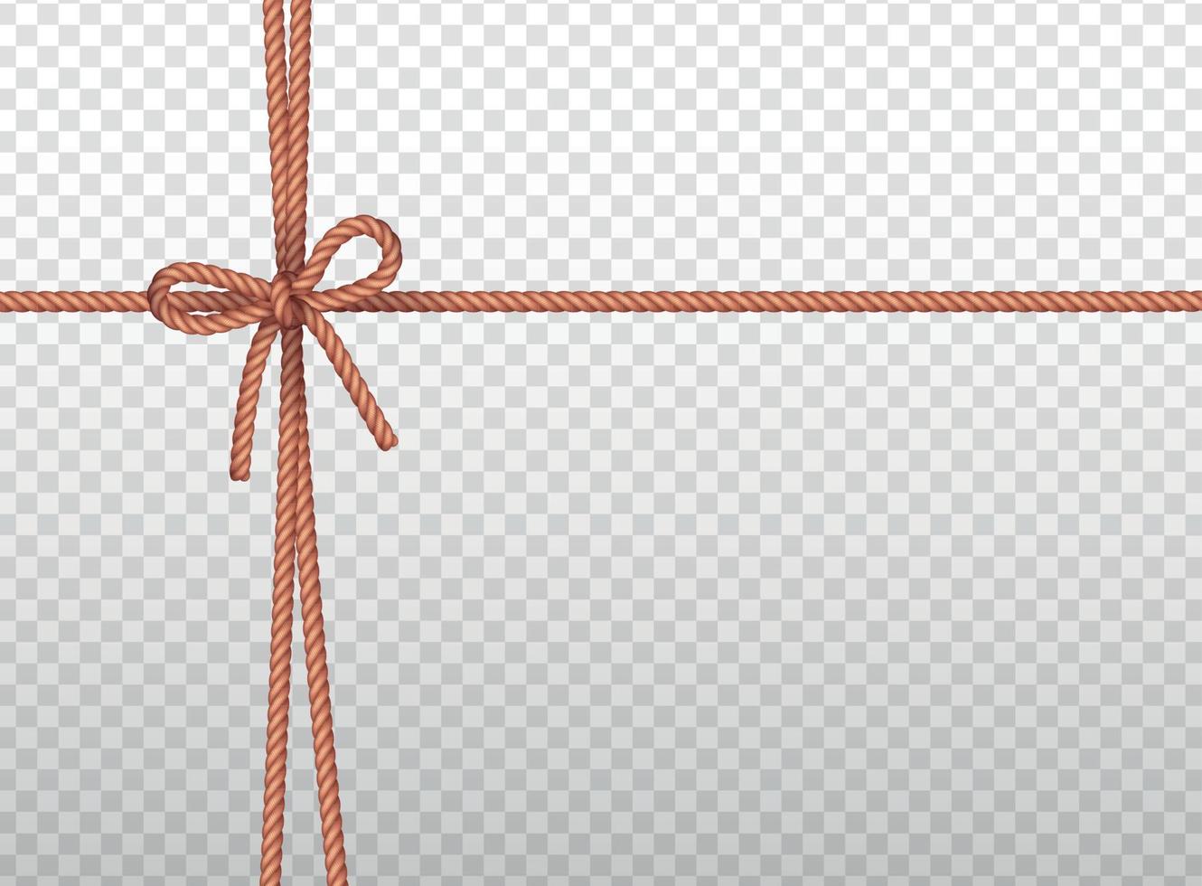 Rope Knots Realistic Transparent vector