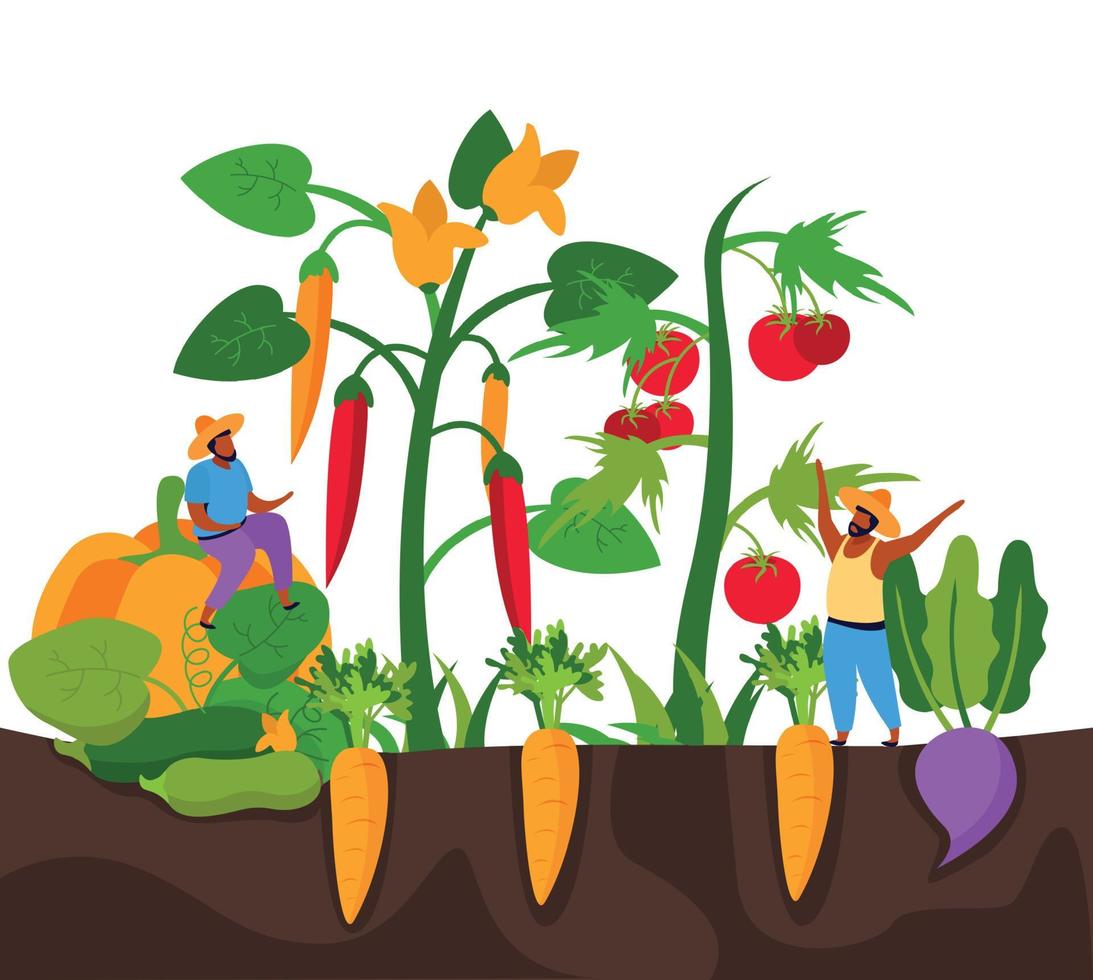 Carrot Harvesting Flat Composition vector