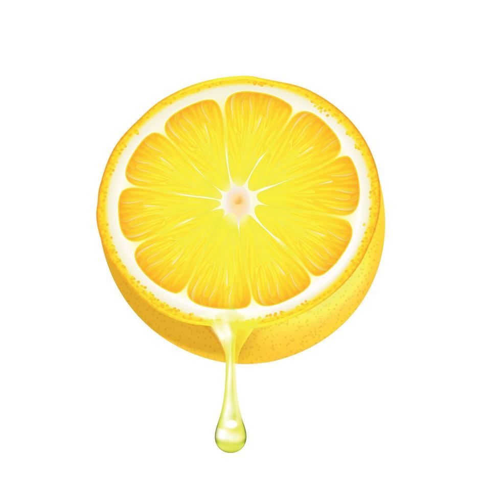 Lemon Half Juicy Realistic Image vector