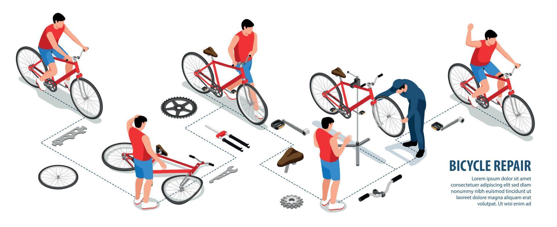 bBicycle Repair Isometric Infographics vector