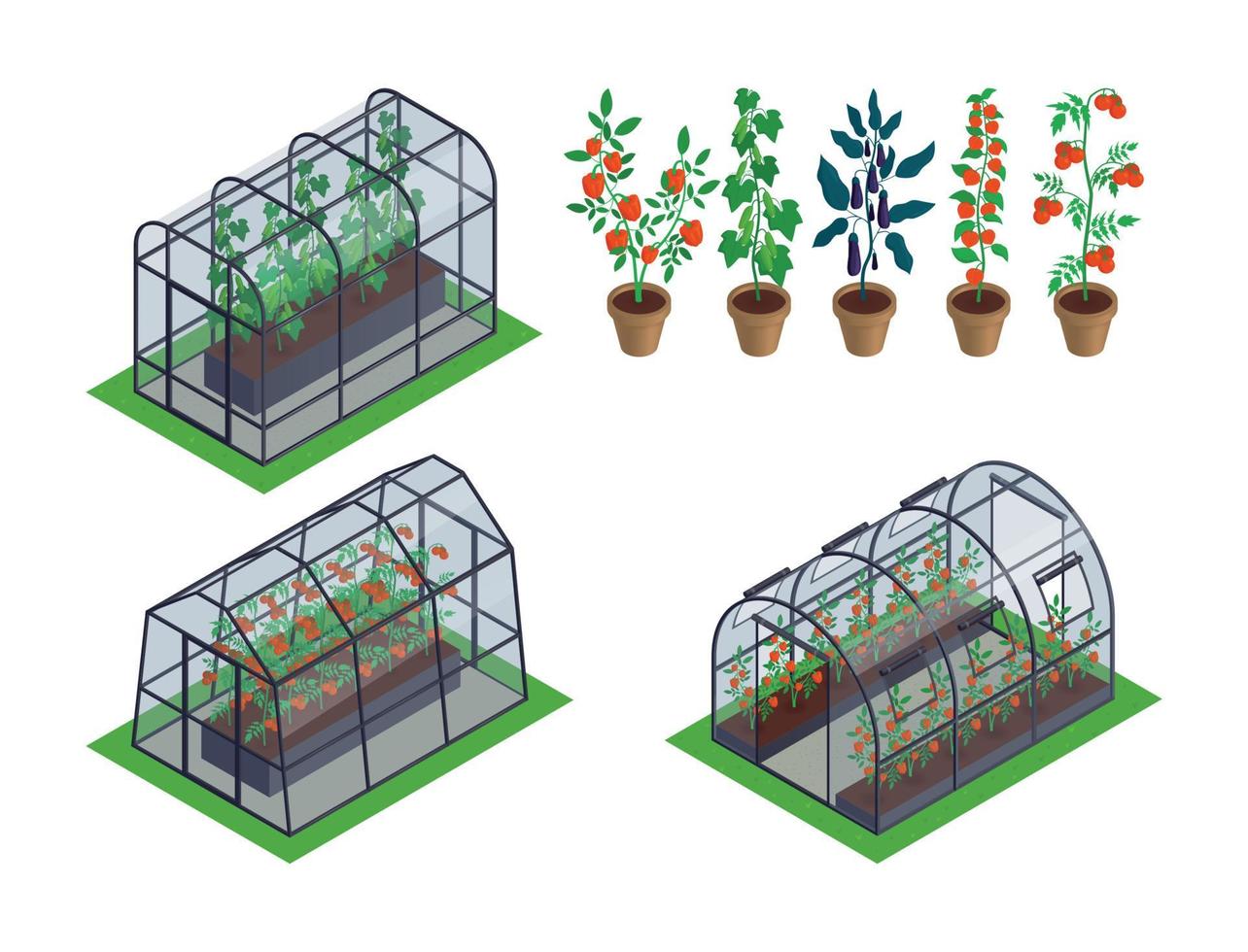 conjunto de iconos de verduras de invernadero isométrico vector