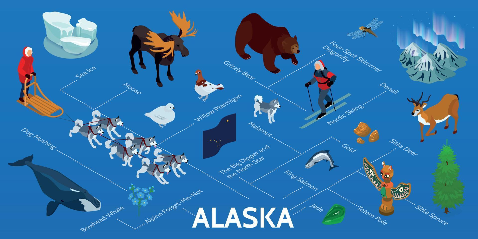 Alaska Isometric Infographics vector