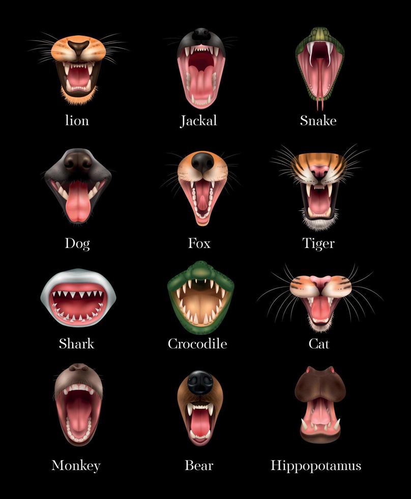 conjunto de boca de animal vector