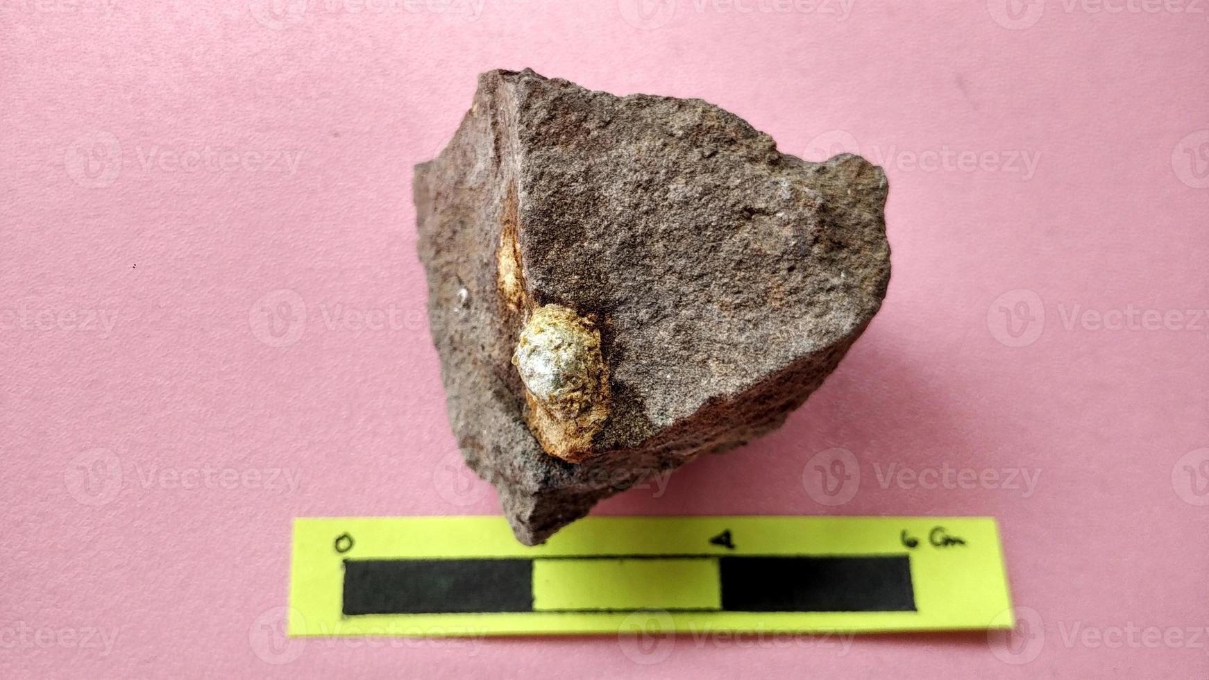 Nummulite limestone, is a sedimentary rock deposited in shallow seas, millions of years ago. These nummulites are the kingdom rhizaria and are included in the phylum foraminifera. Central Java photo