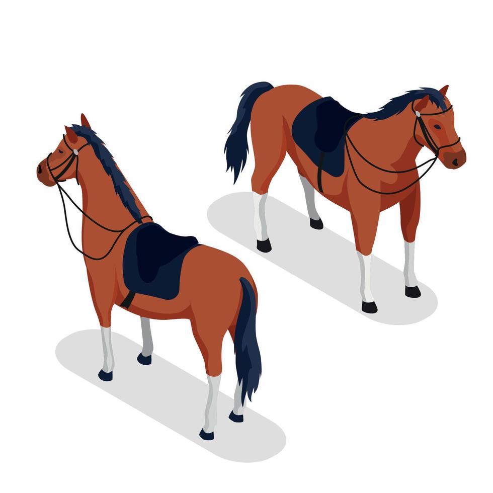 concepto de caballo deportivo vector