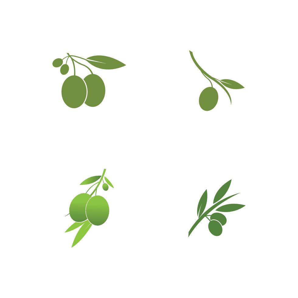 olive icon vector illustration