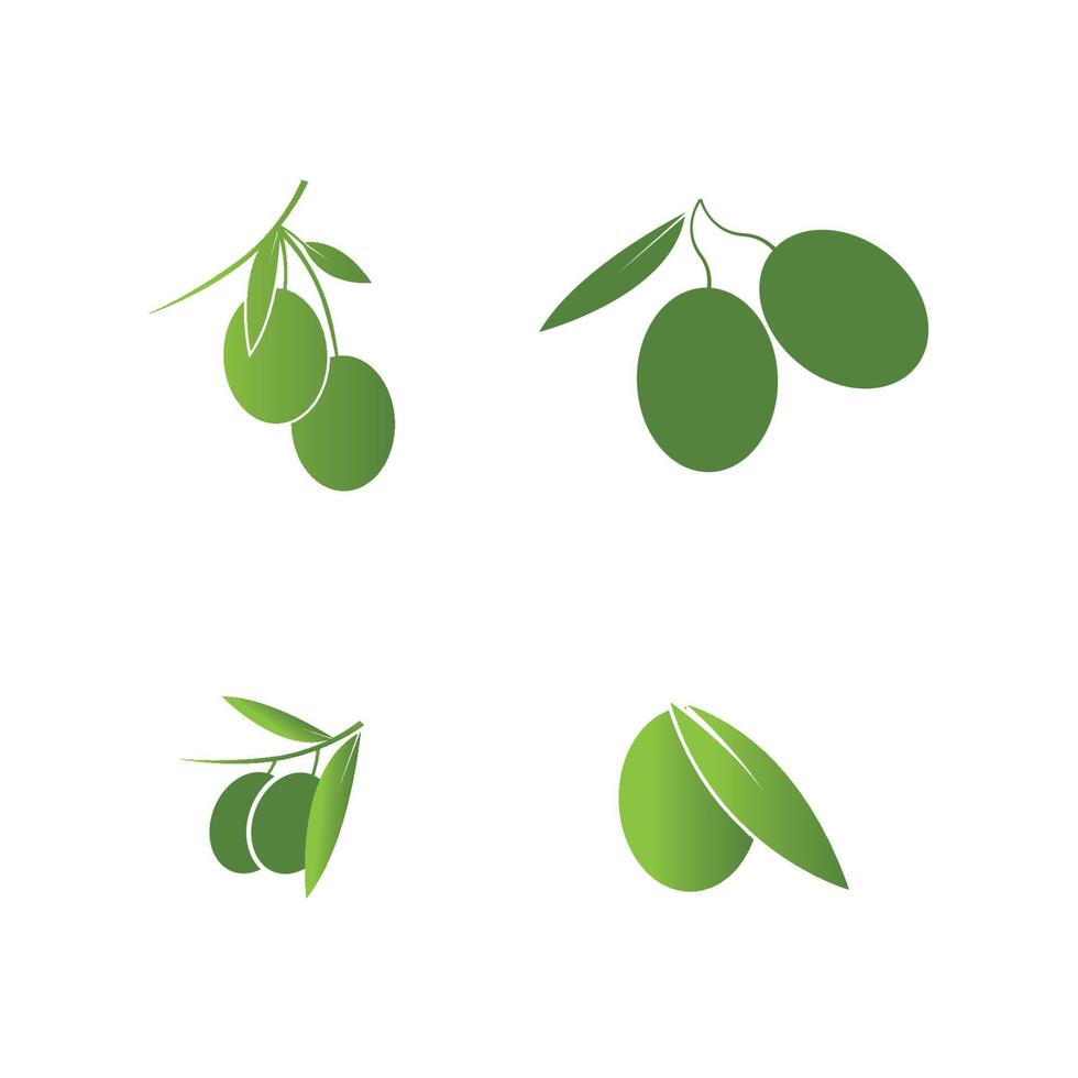 olive icon vector illustration