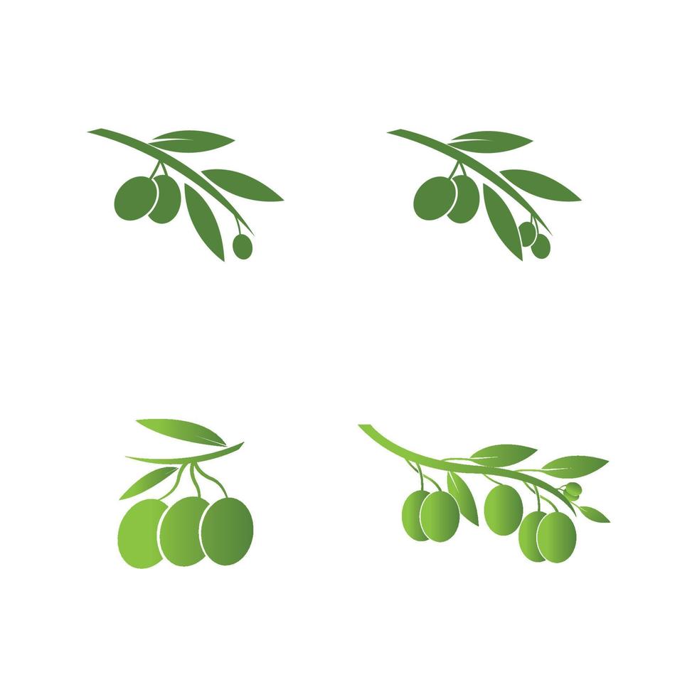 olive icon vector illustration