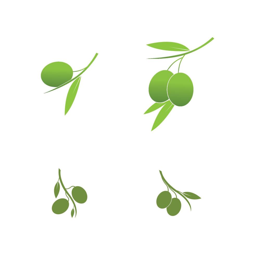 olive icon vector illustration