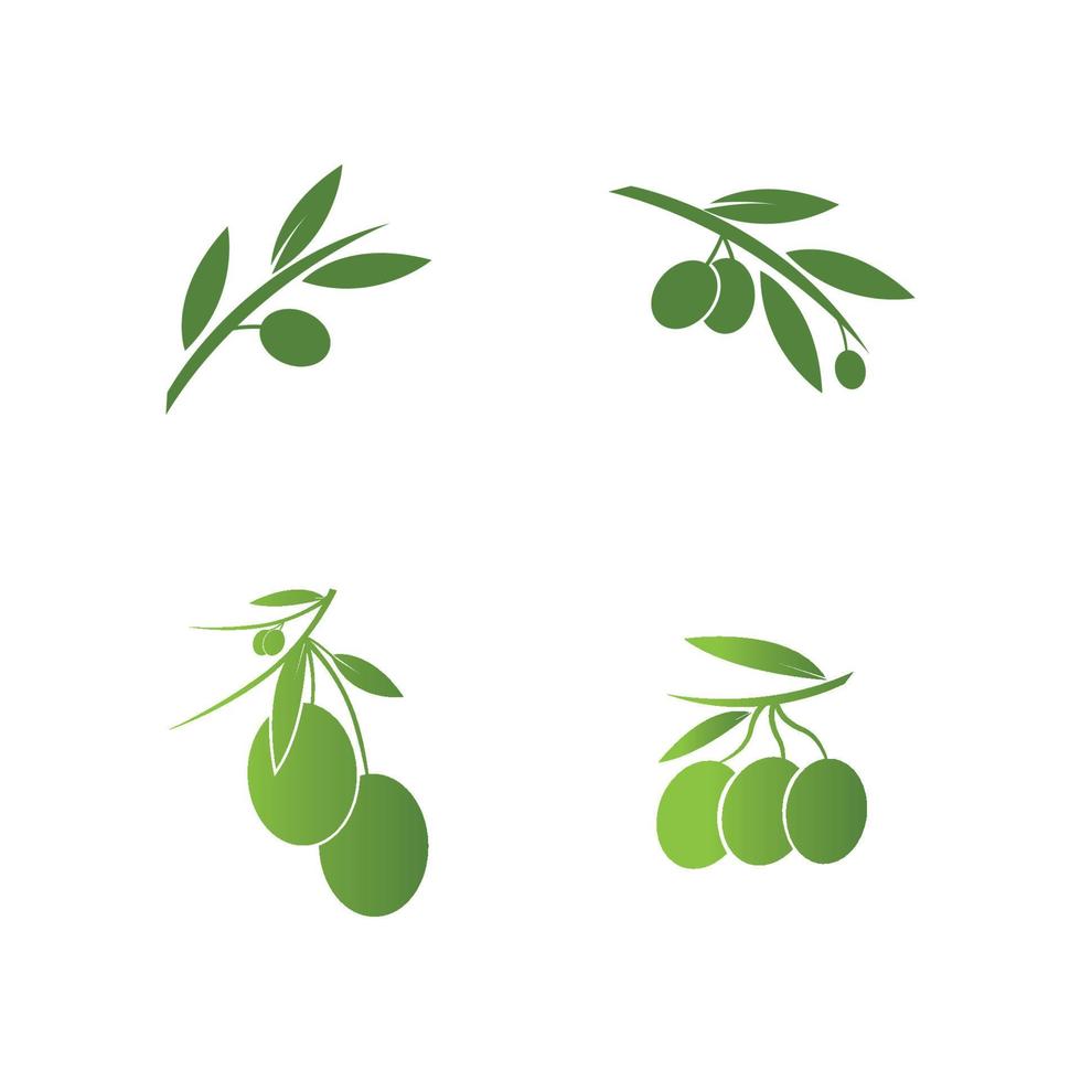 Ilustración de vector de icono de oliva