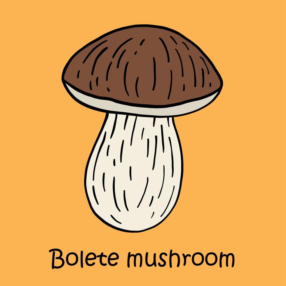 doodle freehand sketch drawing of bolete mushroom. vector