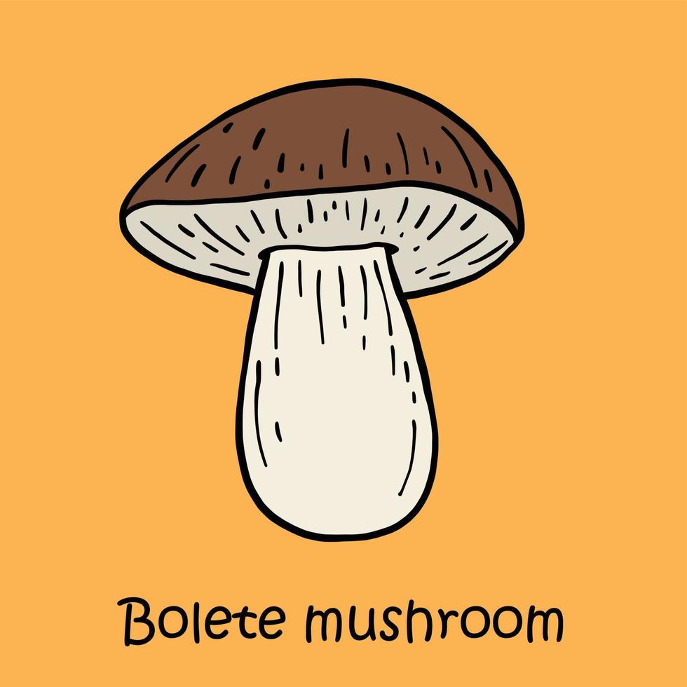 Doodle dibujo a mano alzada de seta bolete. vector