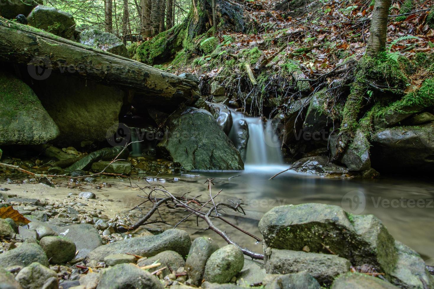 Magic mountain stream in the Carpathian forest. photo