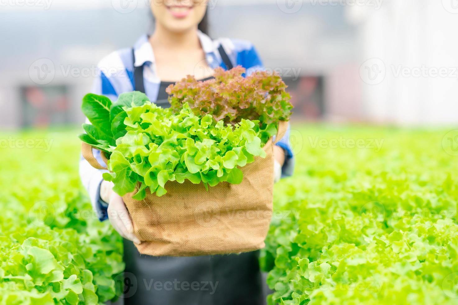 Happy farmer holding basket full of fresh green vegetables photo