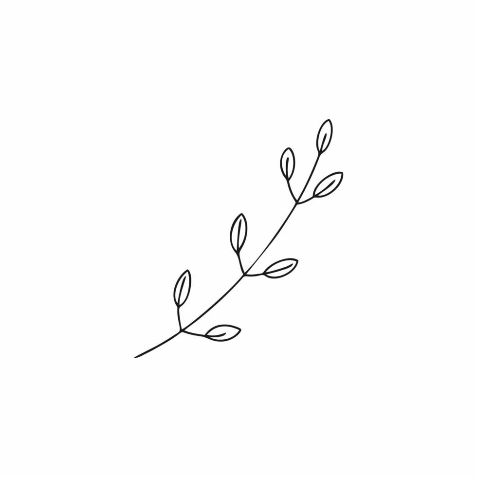 a twig drawn in doodle style. A twig for decorating a postcard. Vector contour illustration