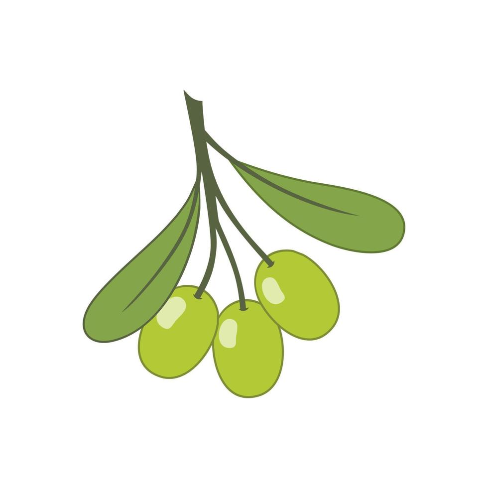 aceitunas verdes en una ramita. ilustración vectorial en estilo de dibujos animados. vector