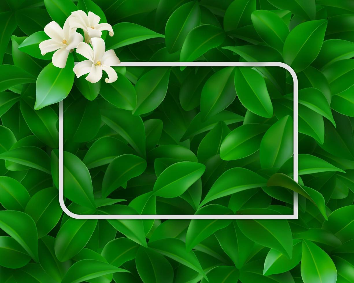 Fondo de hojas y flores verdes con marco cuadrado blanco para tarjetas publicitarias o invitaciones. archivos eps realistas. vector