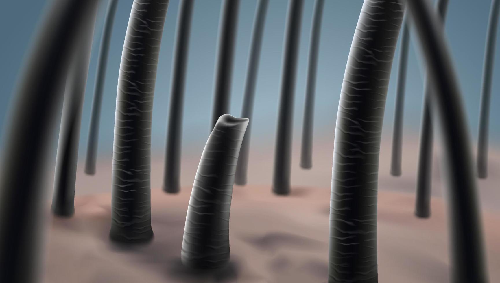 Hair loss problem, hair loss, split ends scalp problems lack of vitamins for hair. EPS realistic file. vector