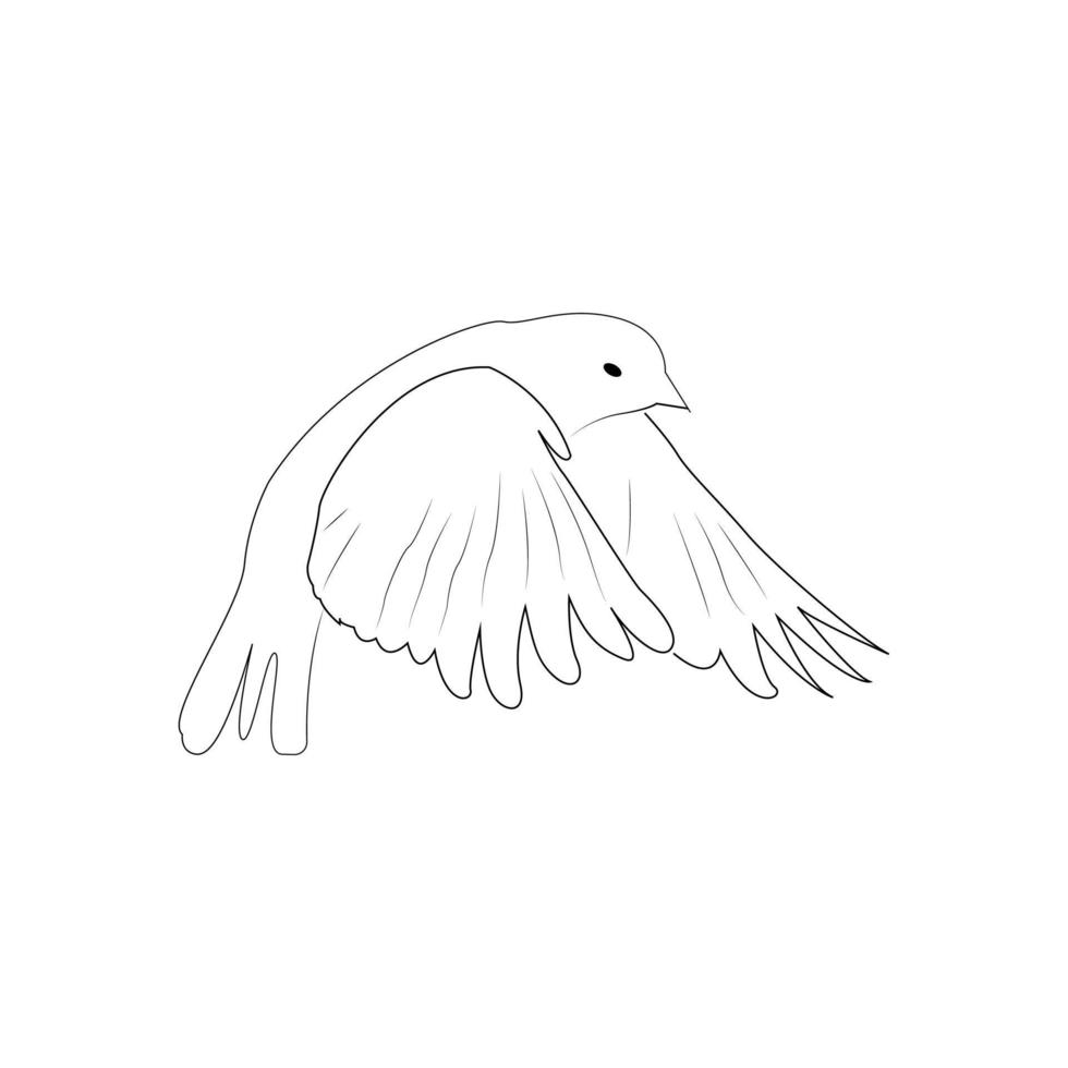 Line art of a flying bird vector