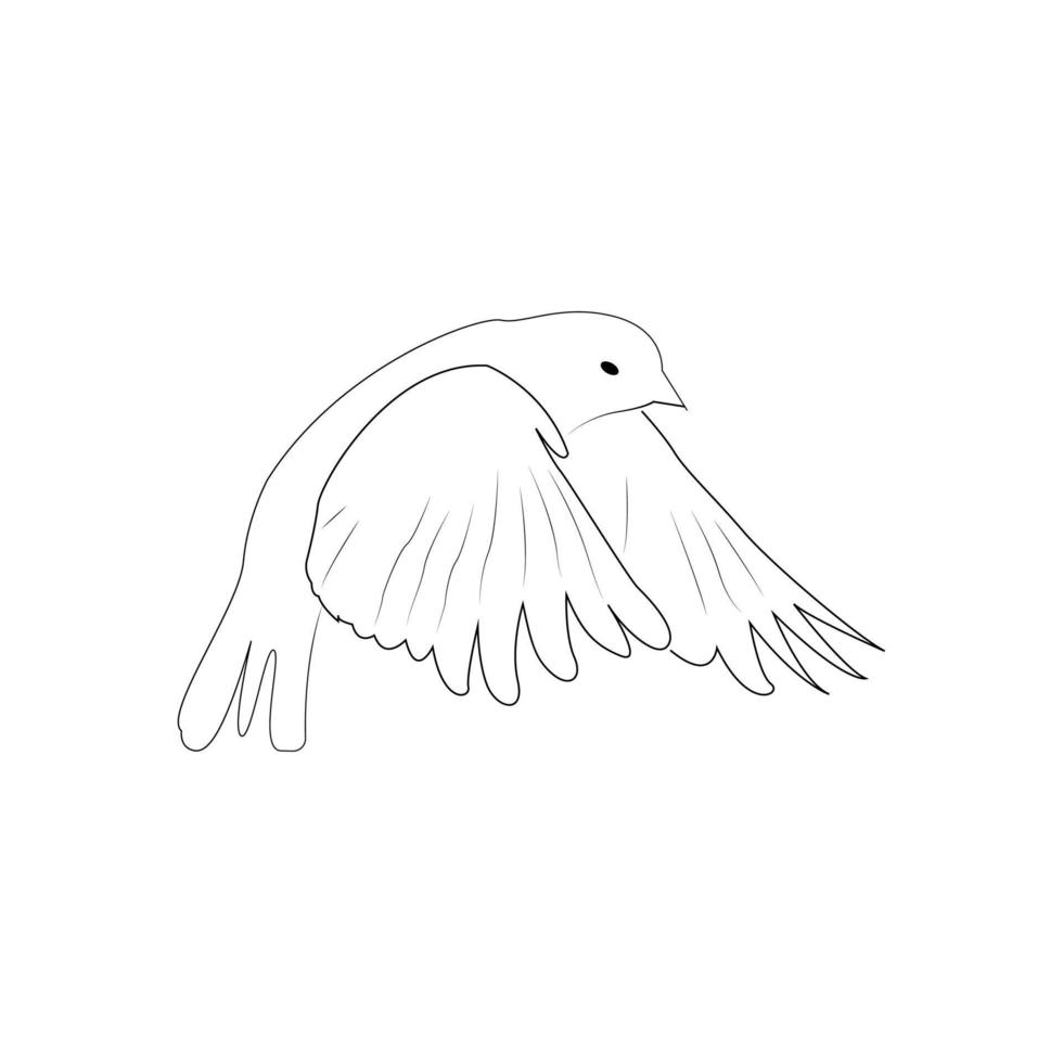 Line art of a flying bird vector 4732044 Vector Art at Vecteezy