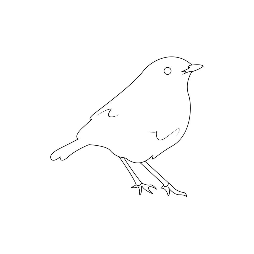 Bird Line Illustration vector