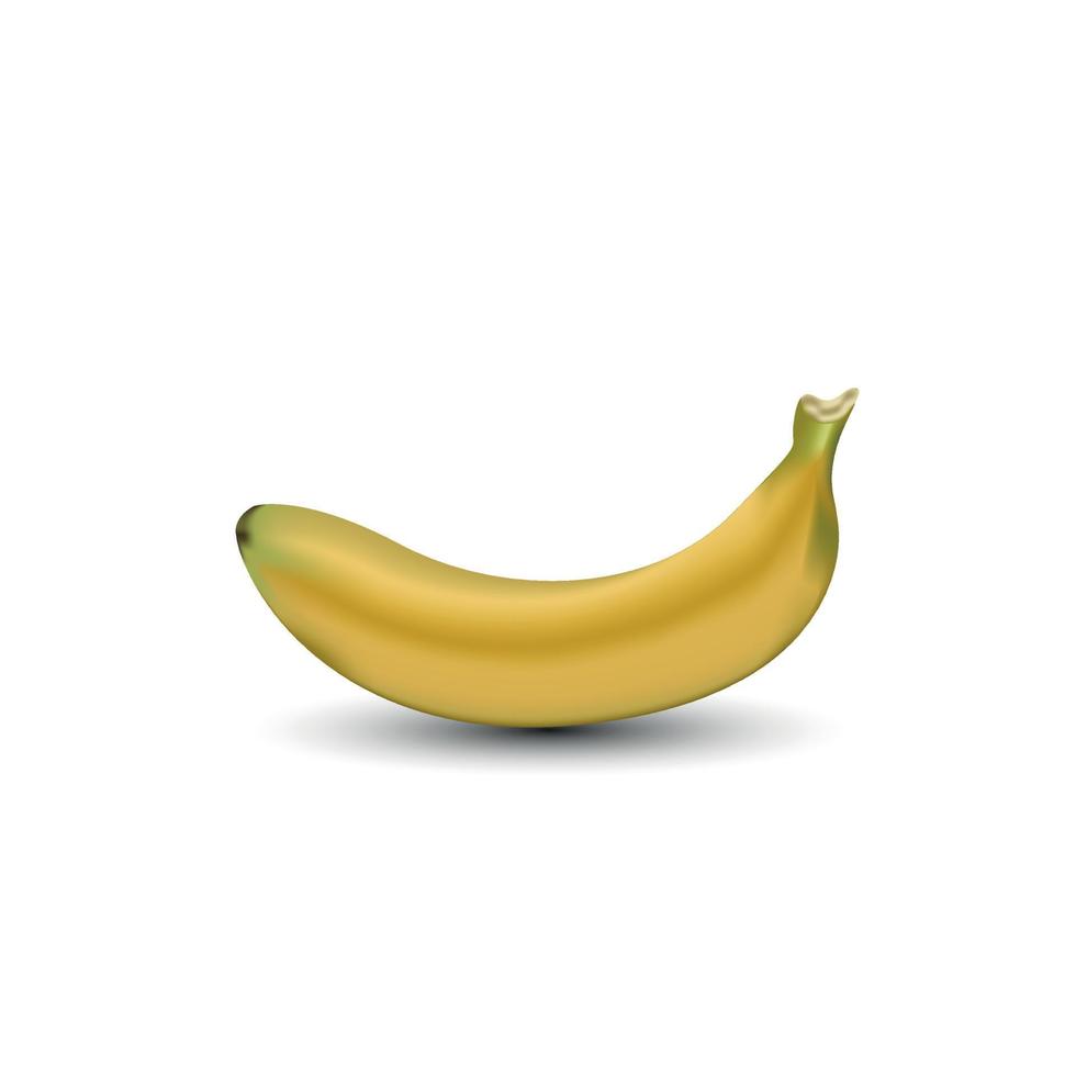 Realistic Banana Vector Illustration