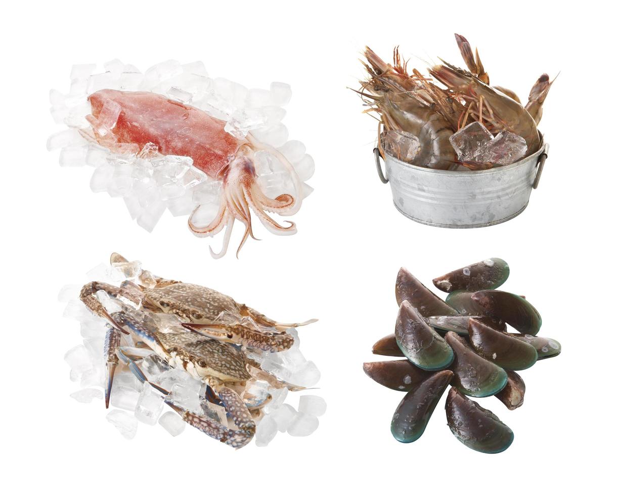 Grupo de ingredientes de mariscos sobre fondo blanco. foto