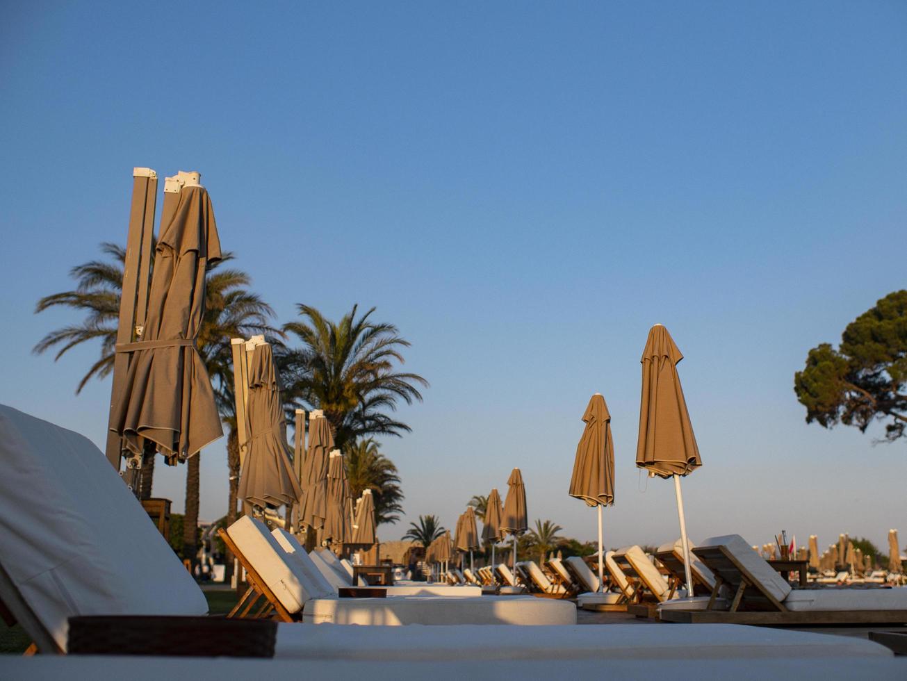 sunbeds and umbrellas near resort's pool photo