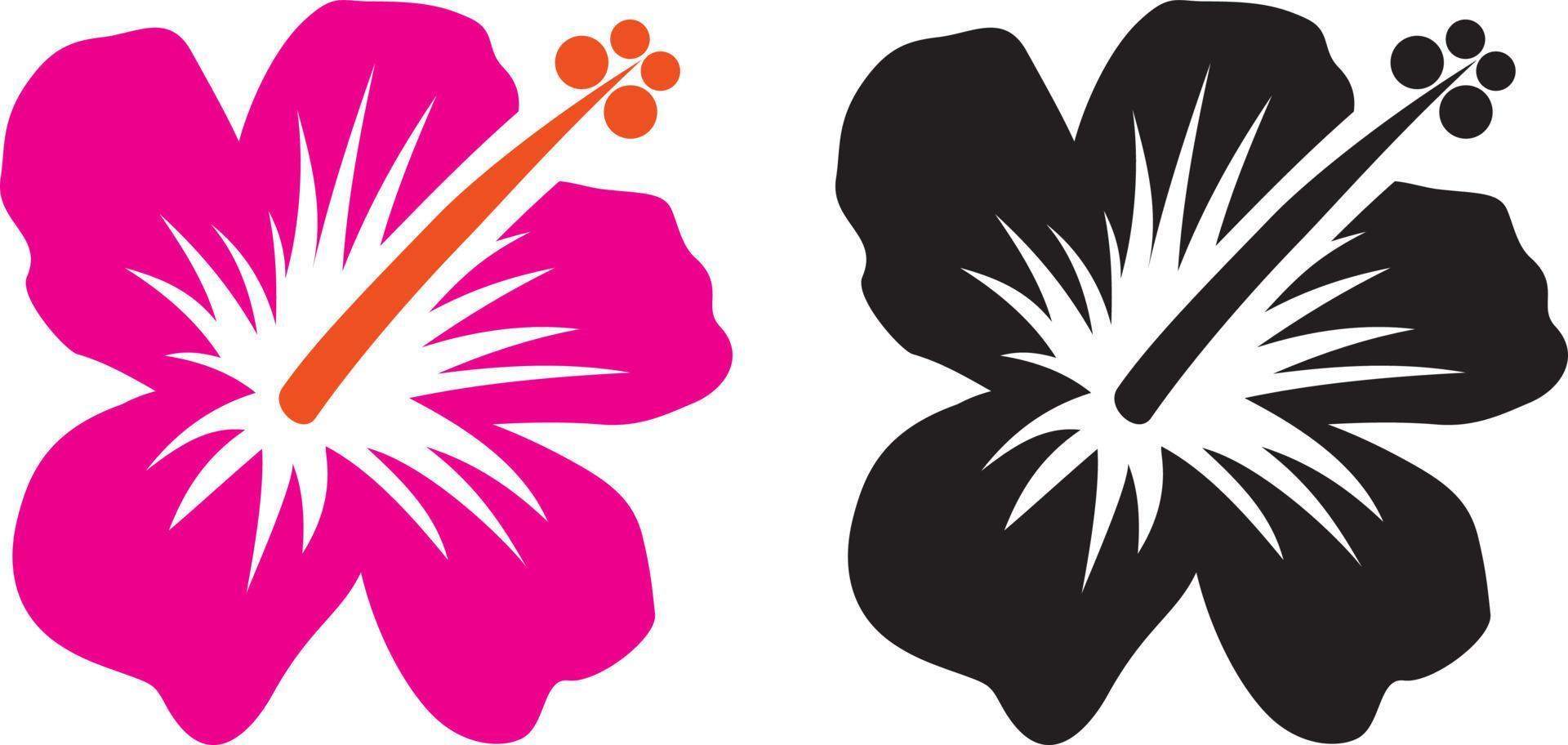 Hibiscus hawaii flower vector