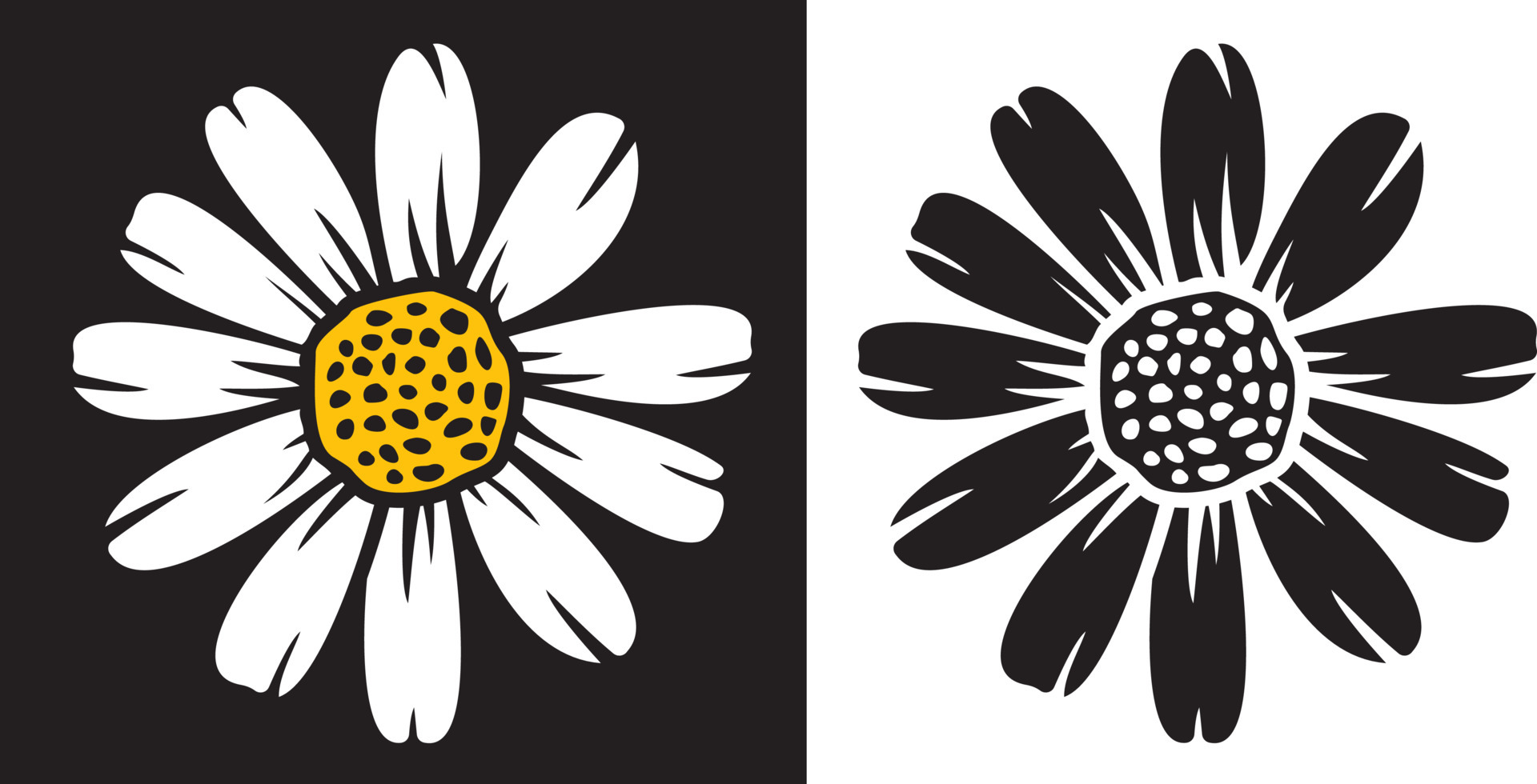 Daisy flower vector 4734153 Vector Art at Vecteezy