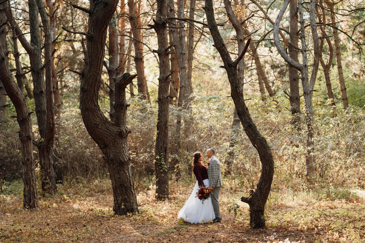 walk of the bride and groom through the autumn forest photo