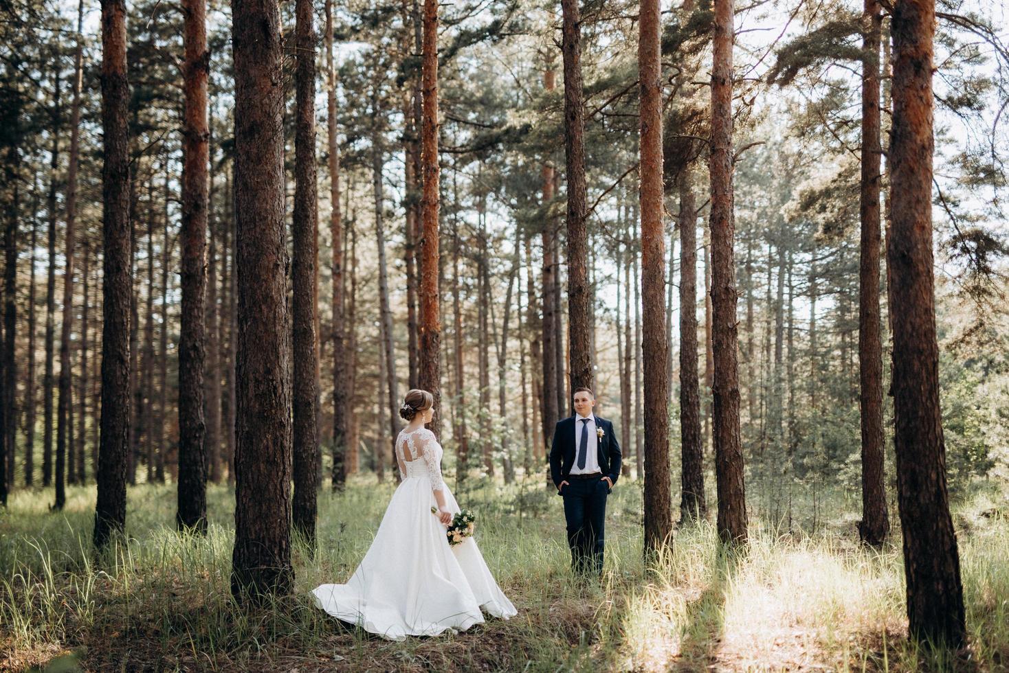 the bride and groom are walking in a pine forest photo