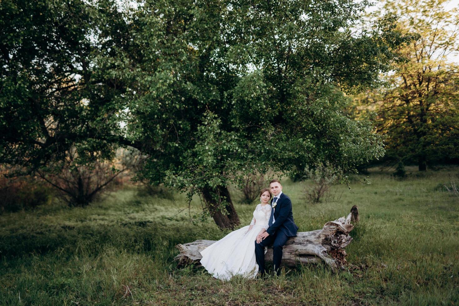 the groom and the bride are walking in the forest near a narrow river photo