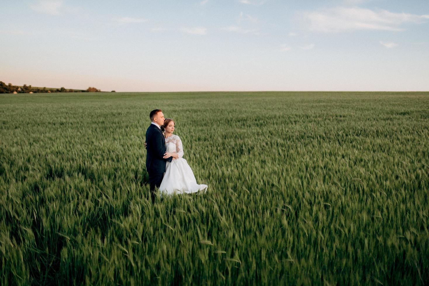 the groom and the bride walk along the wheat green field photo