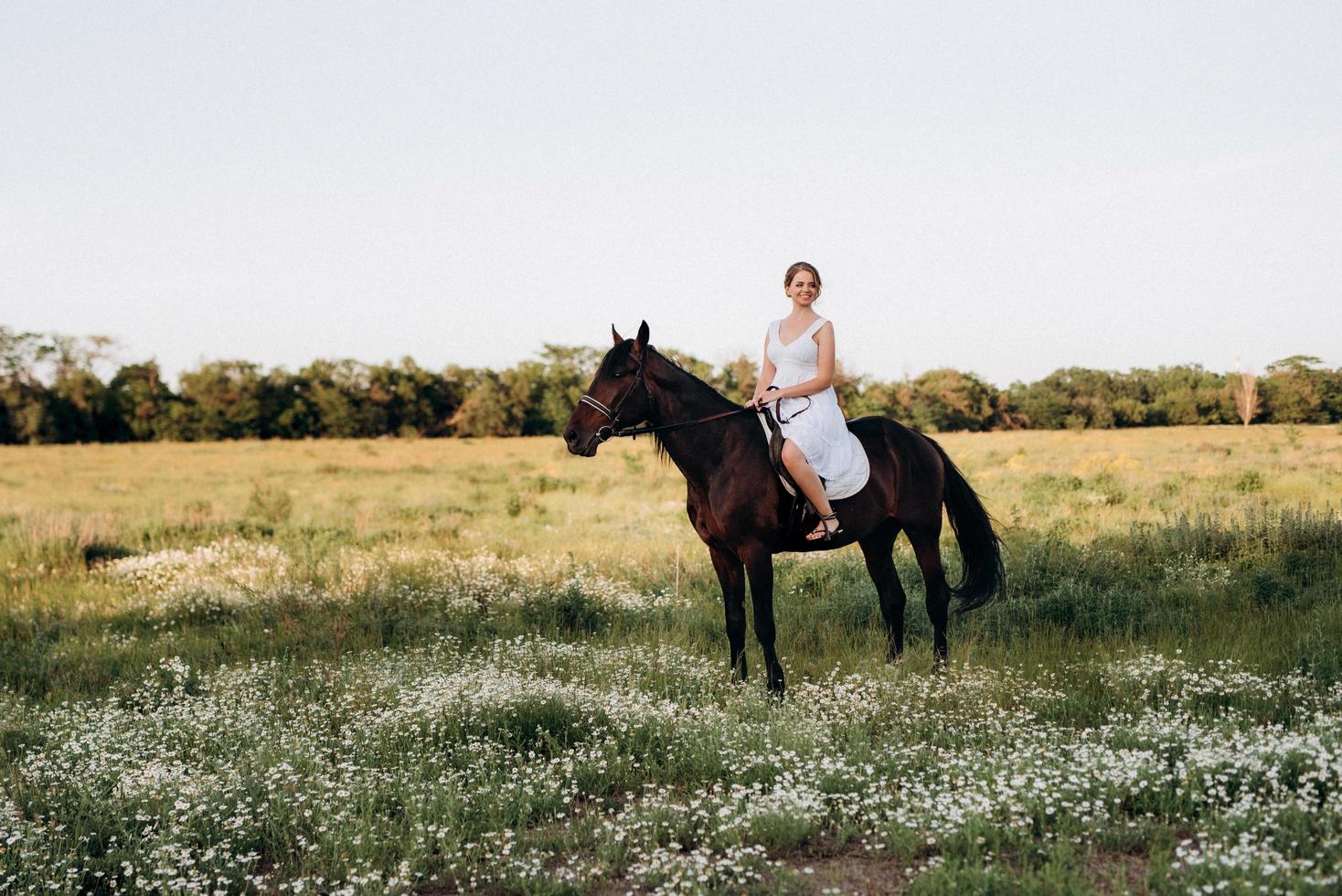 girl in a white sundress on a walk with brown horses photo
