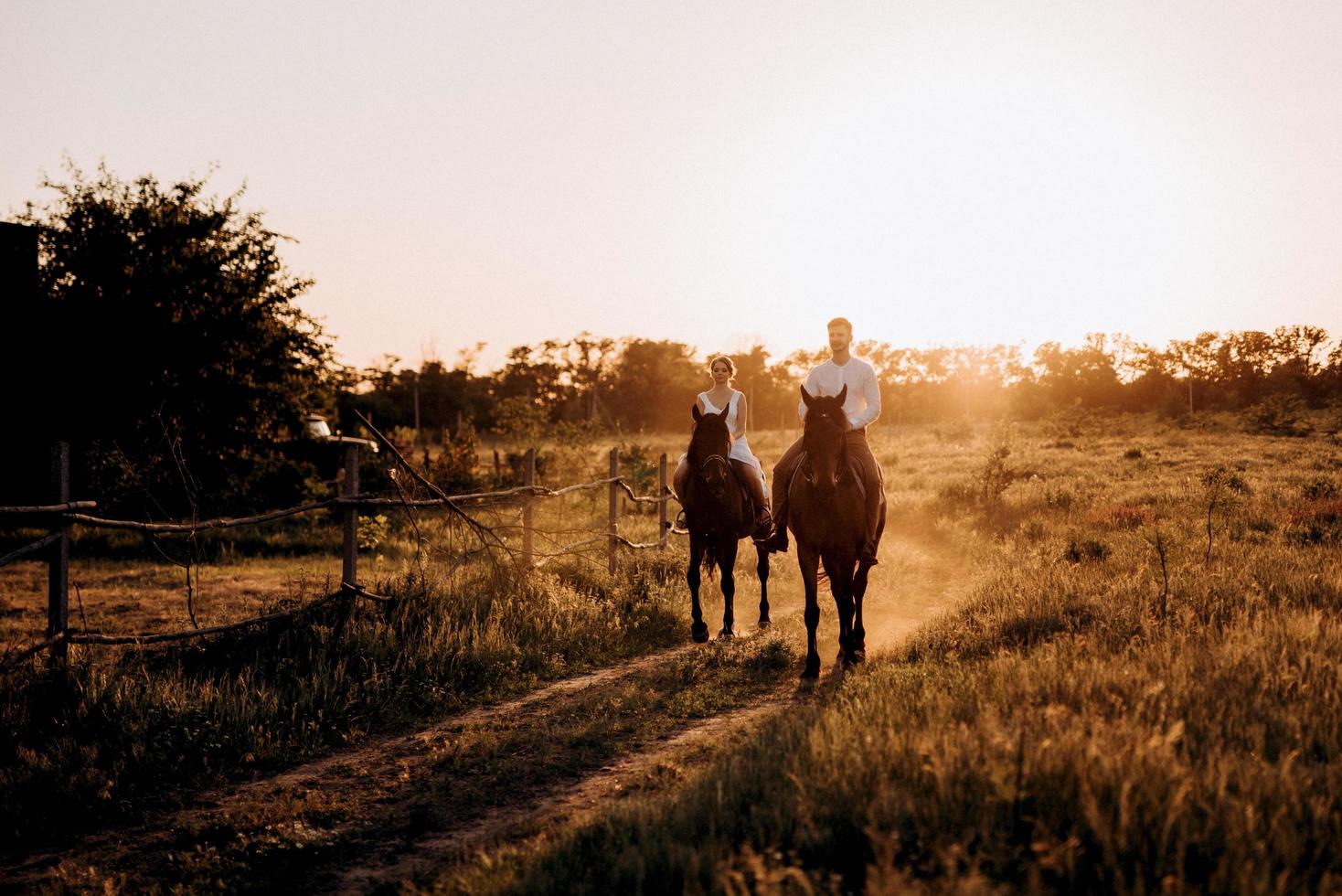 girl in a white sundress and a guy in a white shirt on a walk with brown horses photo