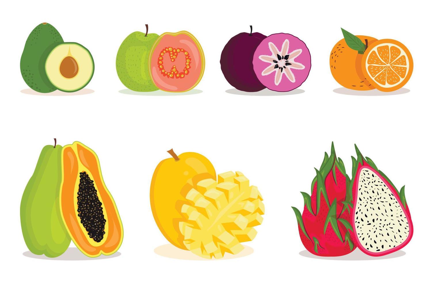 Collection of tropical exotic fruits, whole and in section. Set of paired elements vector