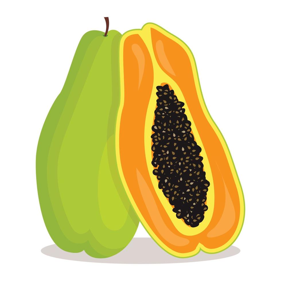 entera y la mitad de papaya verde, fruta tropical en estilo plano vector