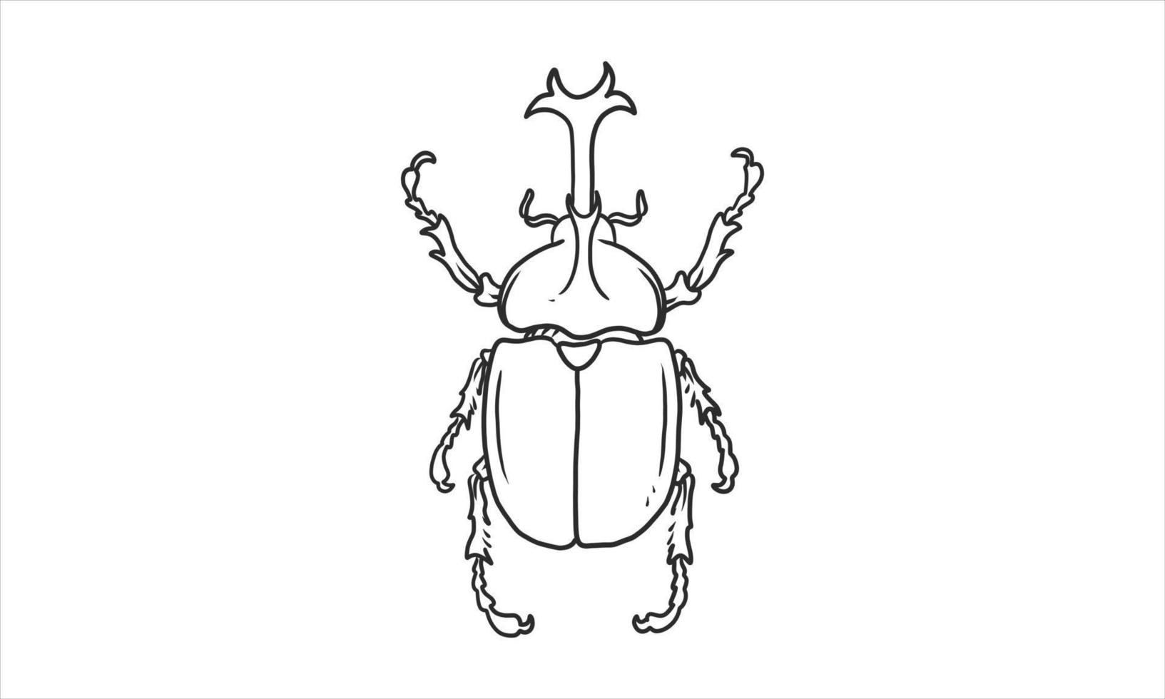 Beetle illustration in an uncolored hand drawn vector