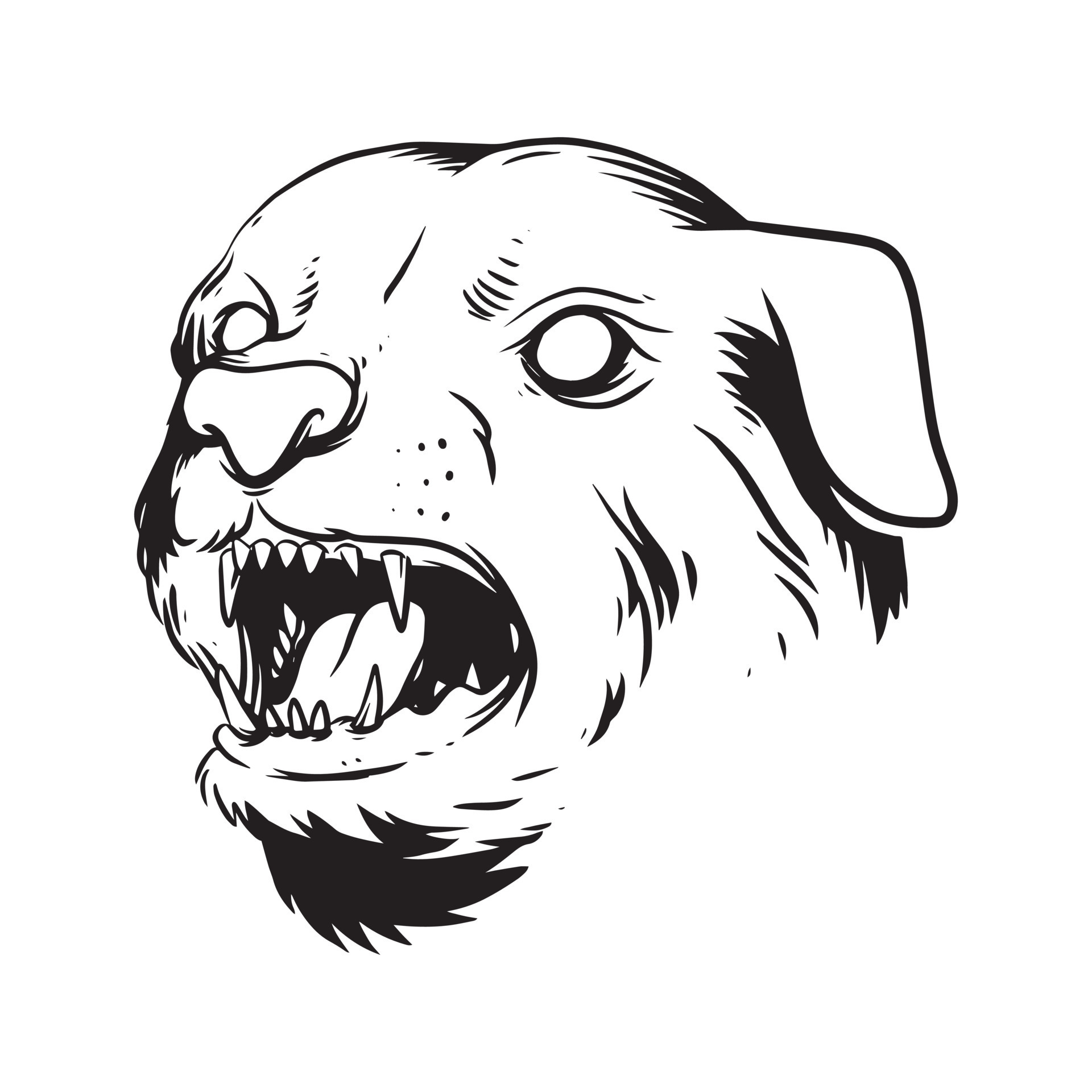 a menacing dog face. a hand drawn illustration of a wild animal head ...