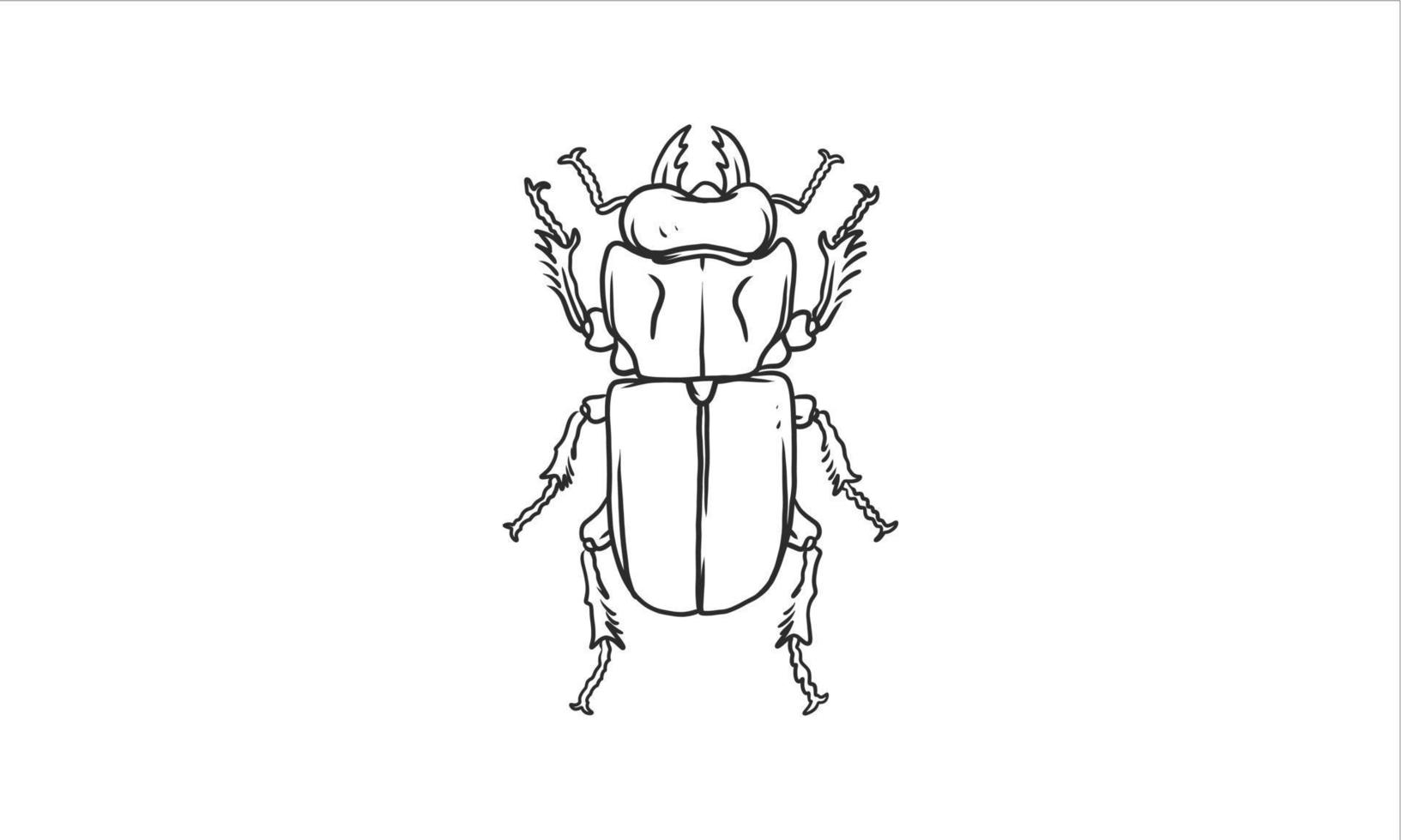 Beetle illustration in an uncolored hand drawn vector