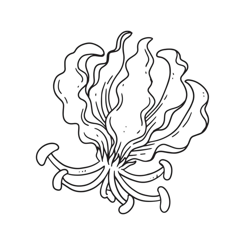 una hermosa flor ilustrada en estilo de contorno. colección de ilustraciones dibujadas a mano de flores para diseño floral. un elemento de decoración para invitación de boda, tarjeta de felicitación, tatuaje, etc. vector