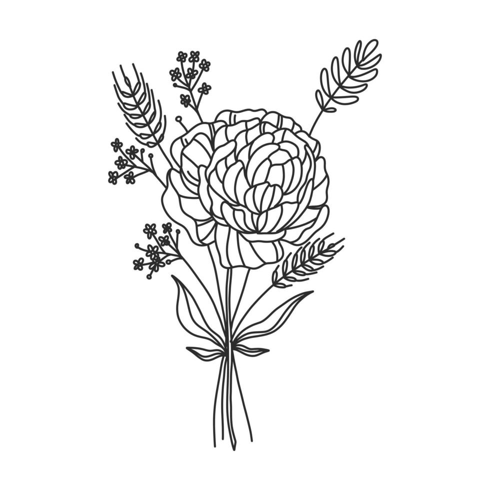 una hermosa ilustración de contorno de caléndula. colección de ilustraciones dibujadas a mano de flores para diseño floral. un elemento de decoración para invitación de boda, tarjeta de felicitación, tatuaje, etc. vector