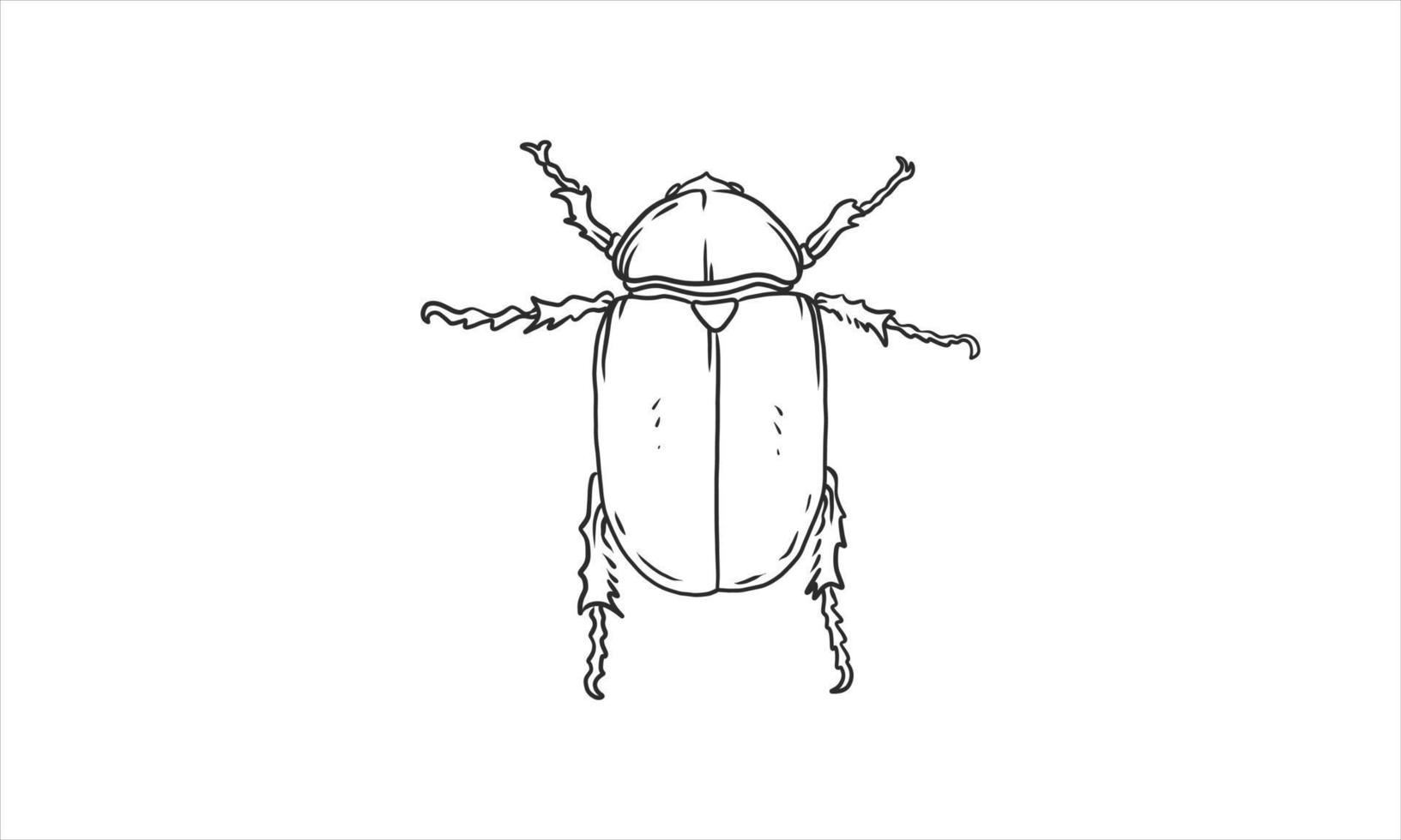 ilustración de escarabajo en una mano incolora dibujada vector