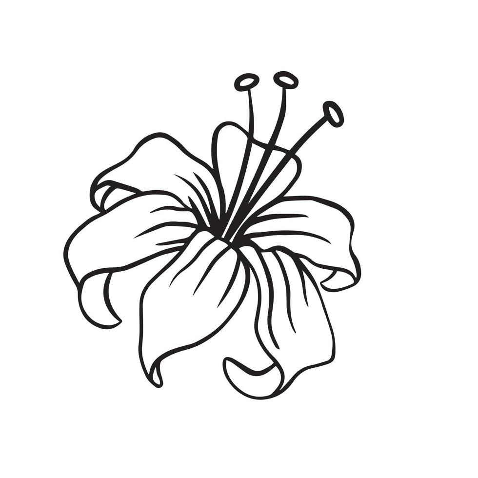 una hermosa ilustración de contorno de hibisco. colección de ilustraciones dibujadas a mano de flores para diseño floral. un elemento de decoración para invitación de boda, tarjeta de felicitación, tatuaje, etc. vector