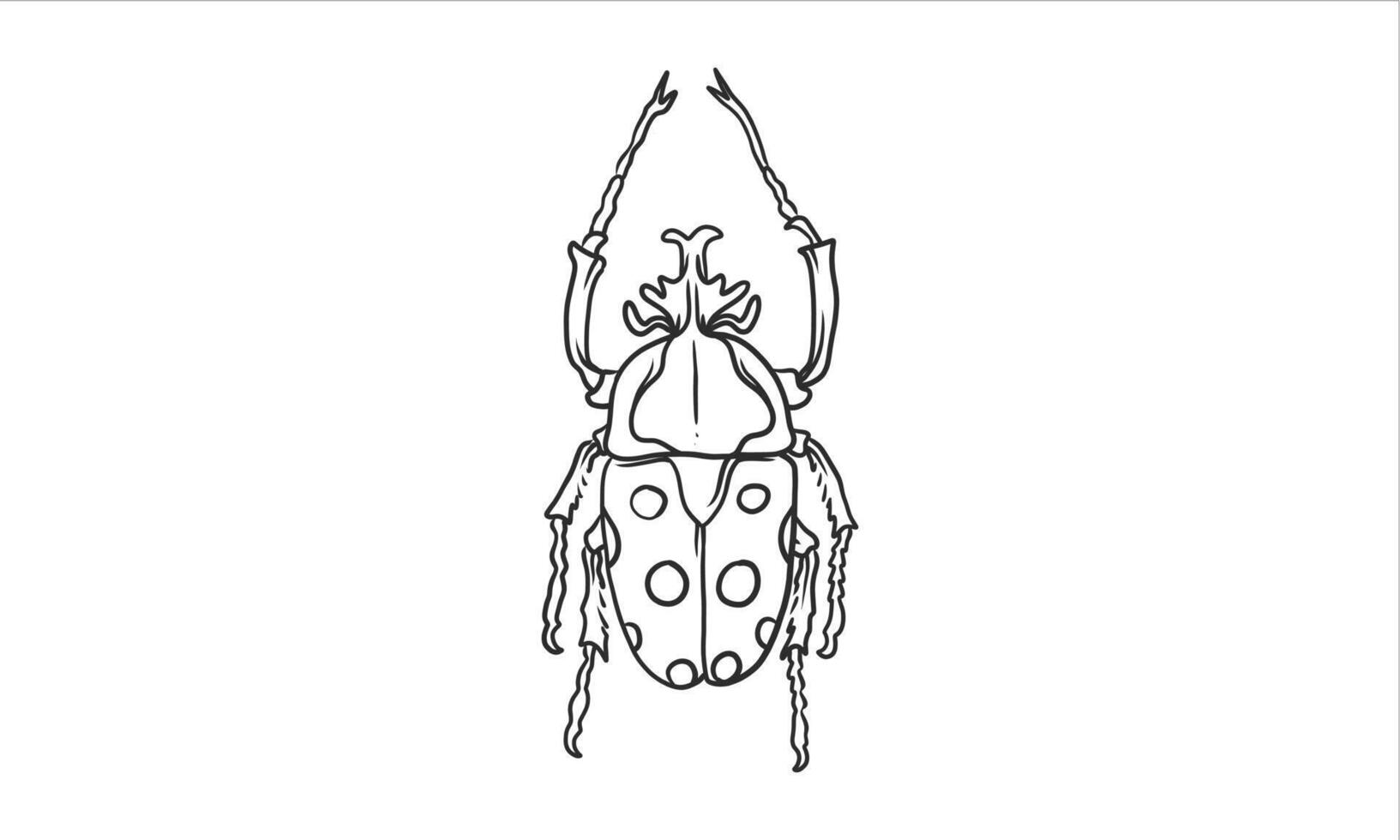 Beetle illustration in an uncolored hand drawn vector