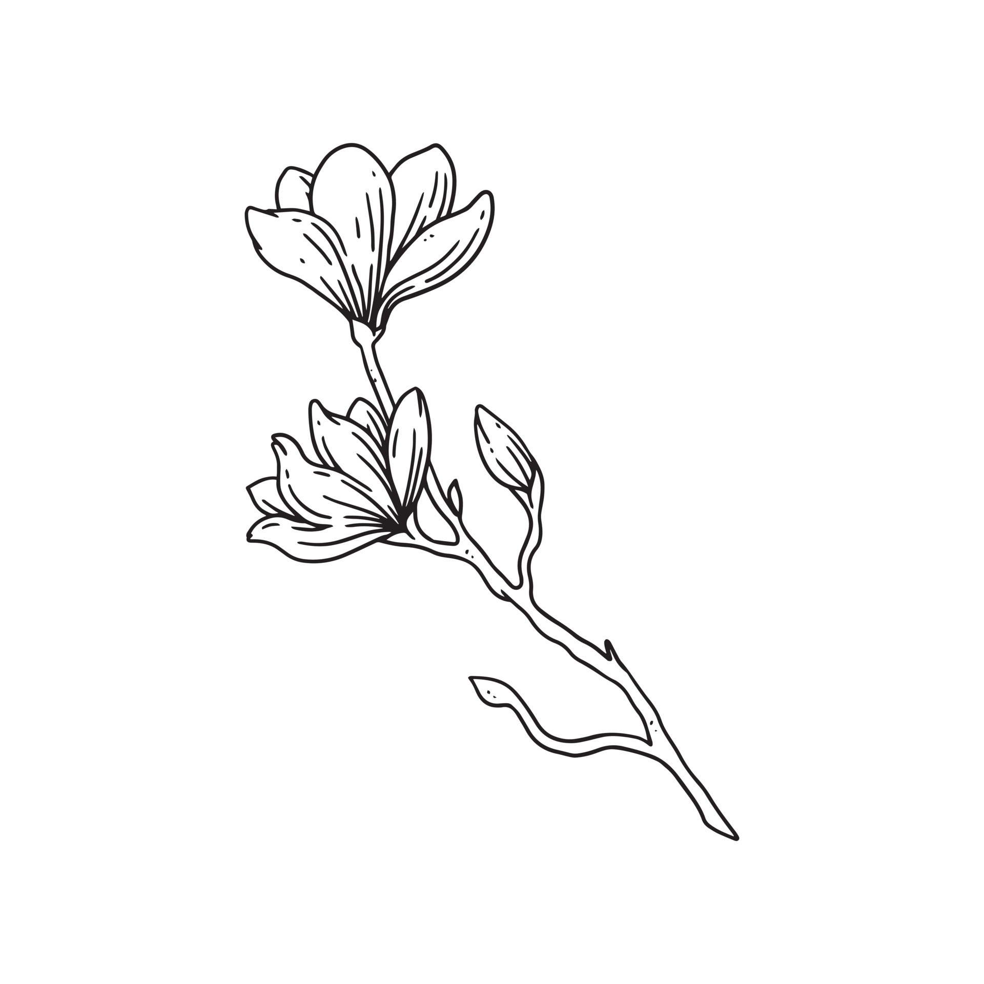 a beautiful outline illustration of flowers with stem. flower hand